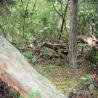 images/Schweden/Schweden 2009/IMG_4491.jpg